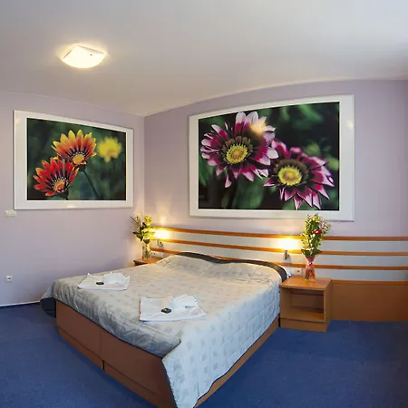 Hotel Air Guest house 3*