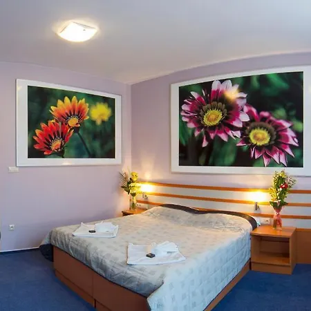 Hotel Air Guest house 3*
